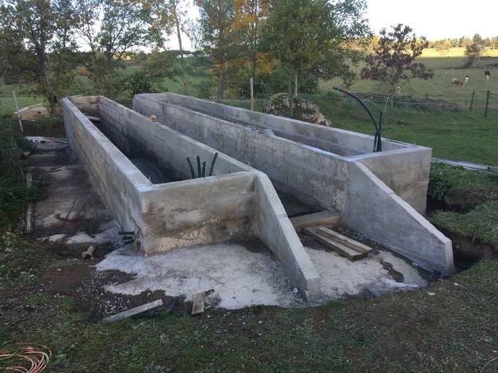 Теплица - фото 4