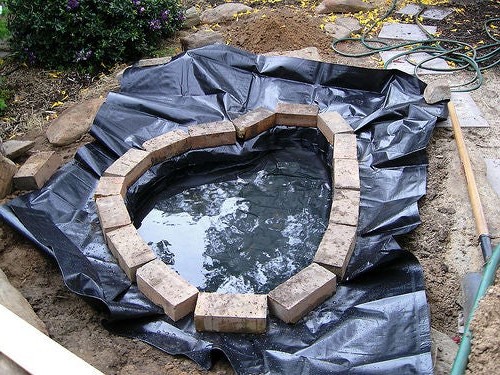 Садовый пруд - фото 4