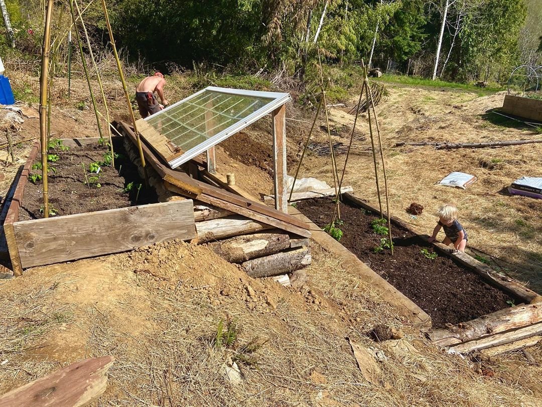 Невысокие грядки из стволов деревьев - фото 8