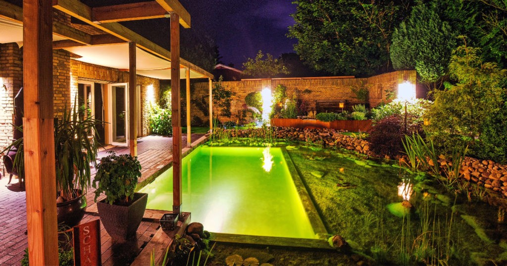 Бассейн + пруд - фото 2