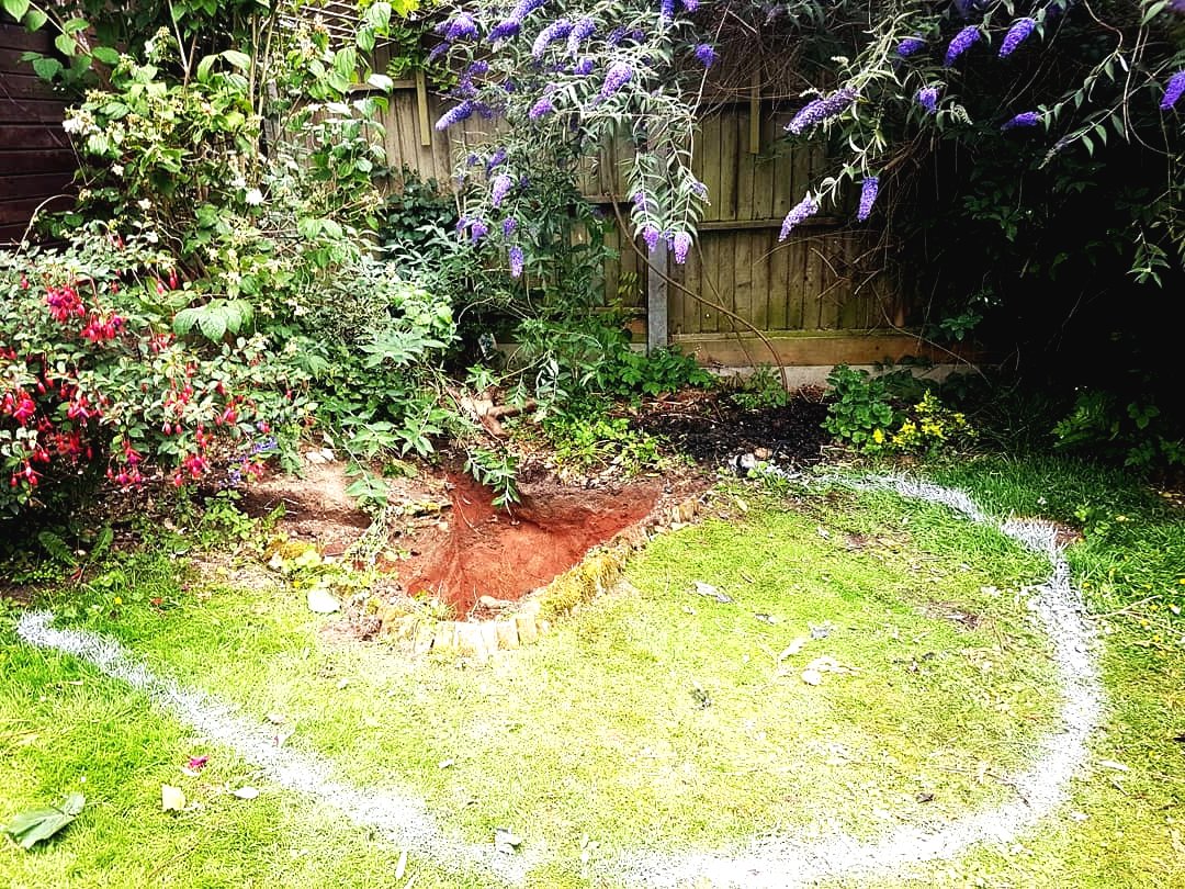 Пруд на даче - фото 3