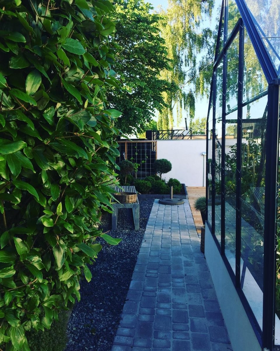 Оранжерея - фото 3