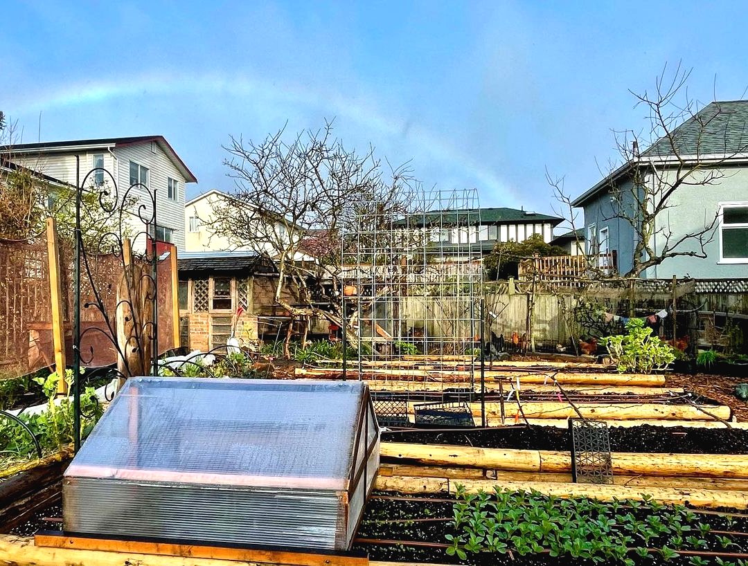 Парник своими руками - фото 3