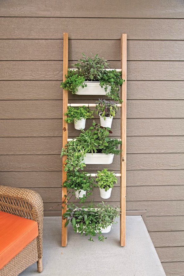 Вертикальный сад - фото 2