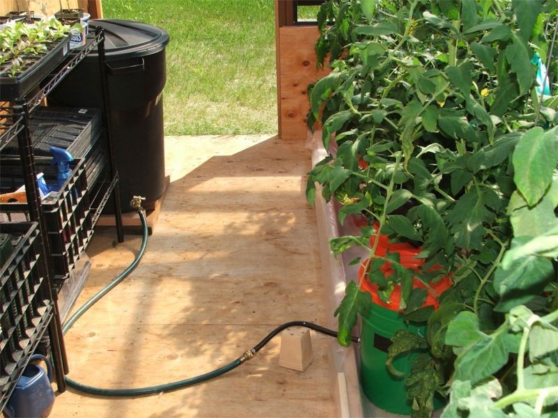 Контейнерное выращивание овощей с автоматической системой полива - фото 5