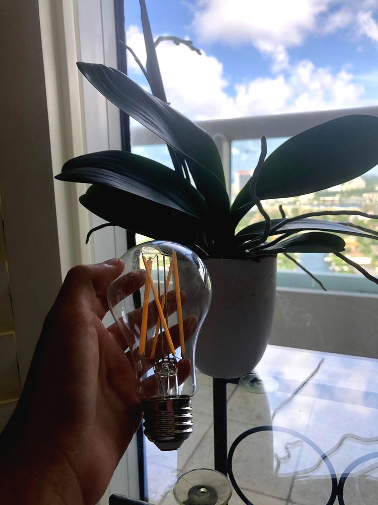 Необычное применение лампочки - фото 2