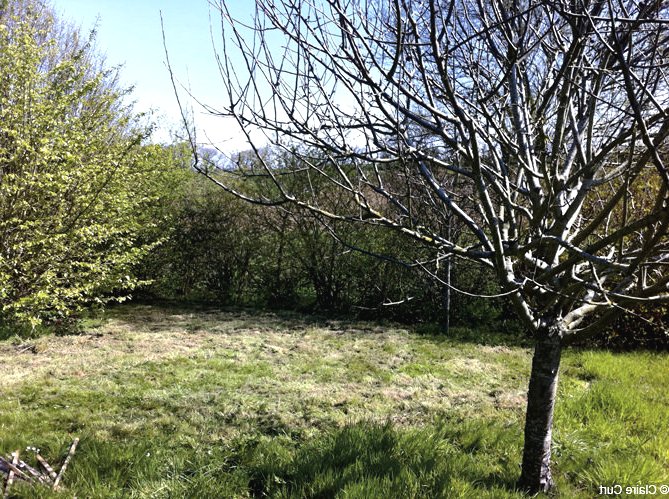 Небольшой деревянный домик - фото 2