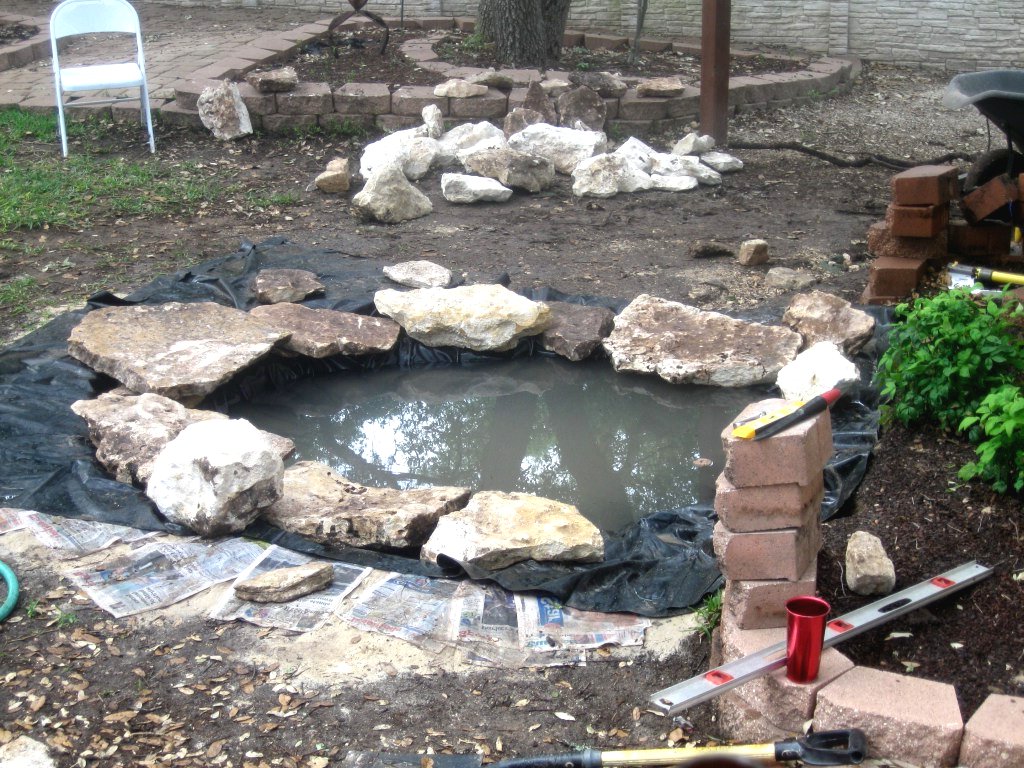 Пруд с водопадом  - фото 11