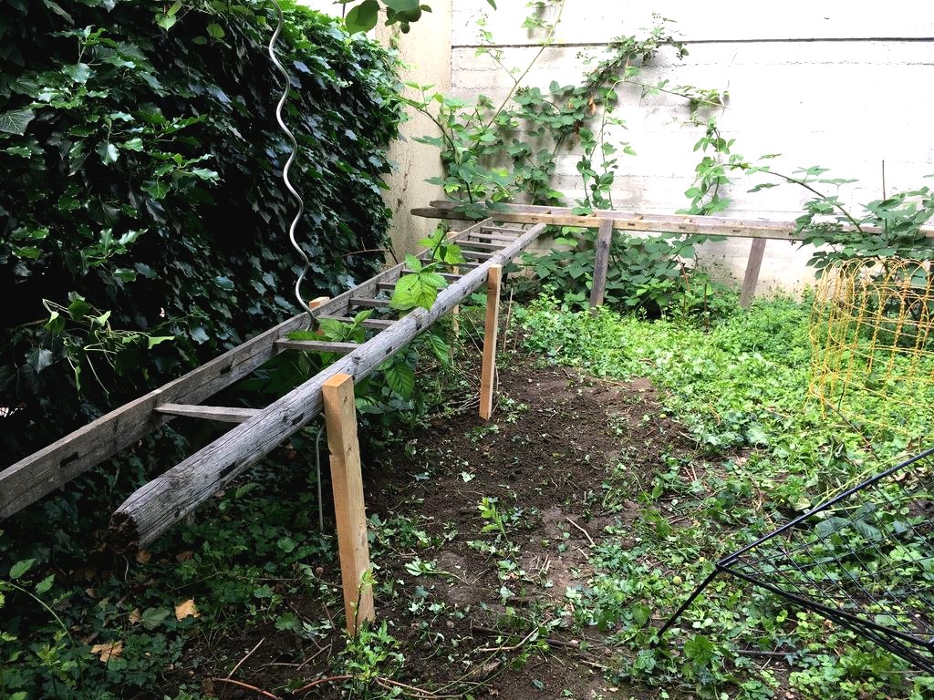 Шпалера из старой деревянной лестницы - фото 6