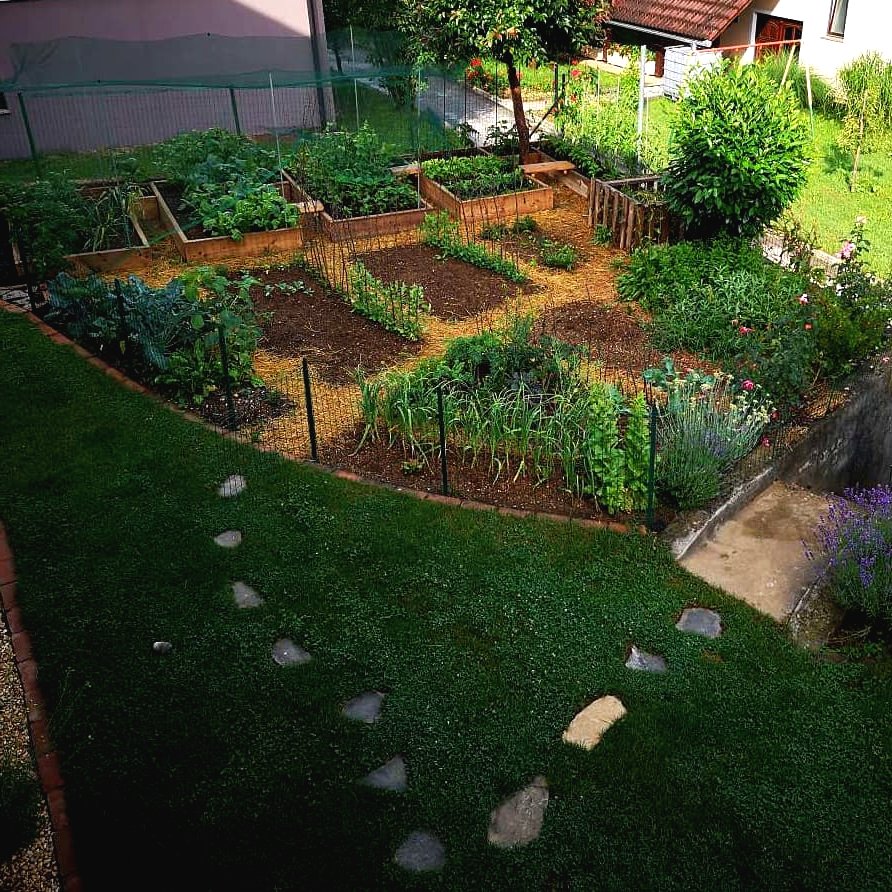 Маленький огород - фото 2