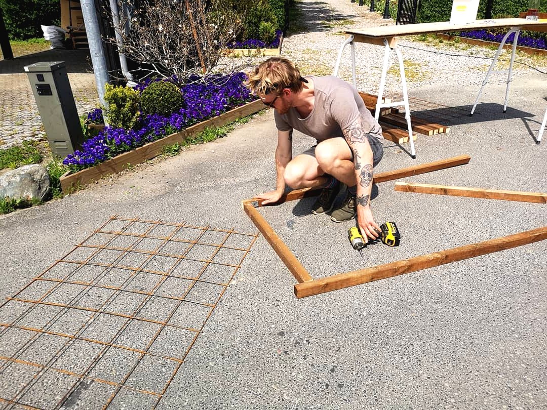 Интересное расположение грядок на участке - фото 3