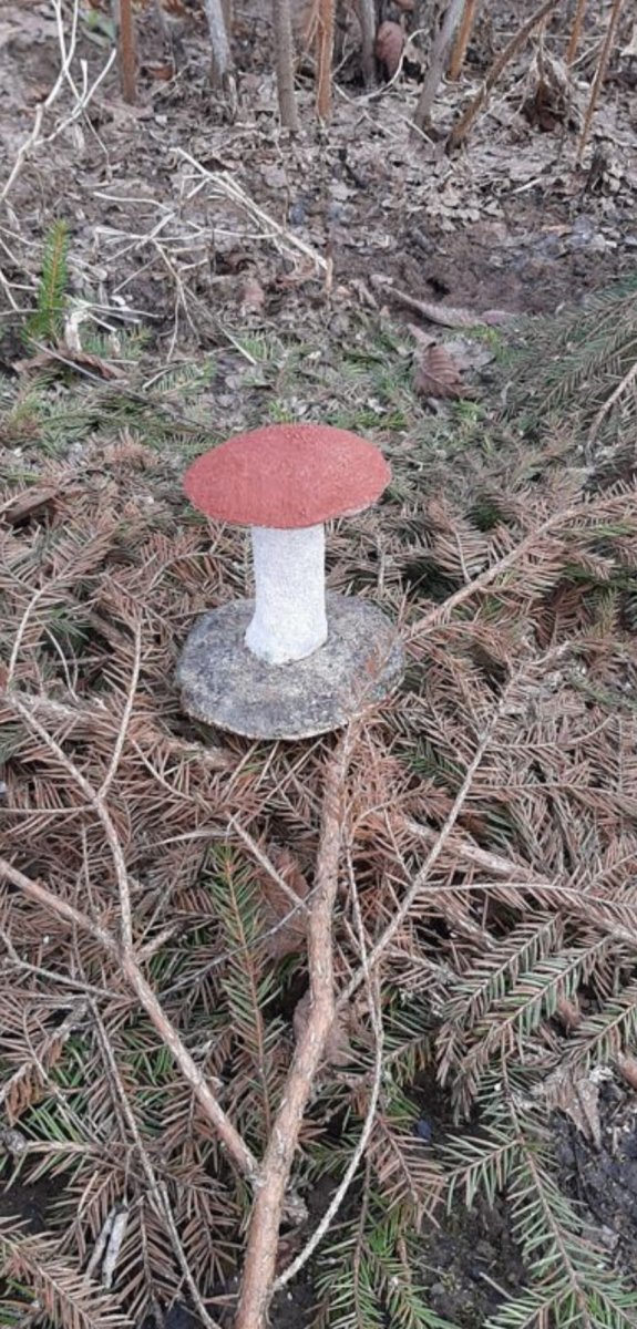 Грибы из бетона - фото 3