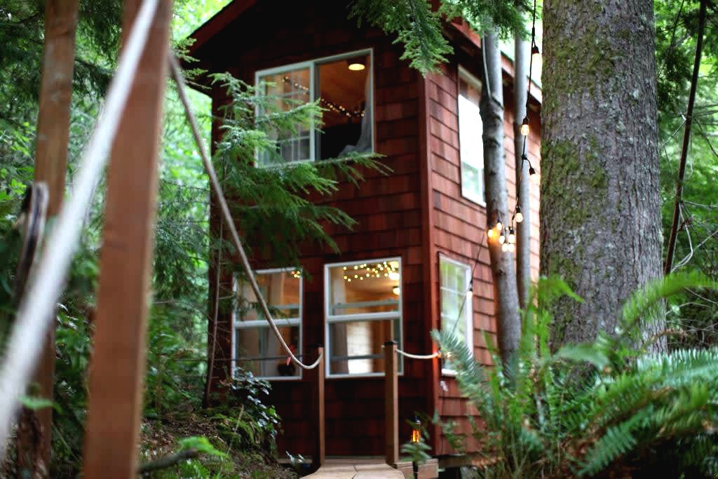 Домик на дереве - фото 23