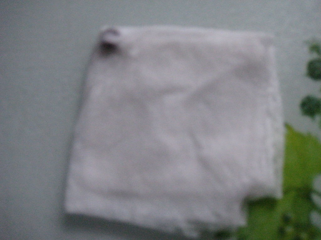 Выращиваем яблоню из семечки - фото 4