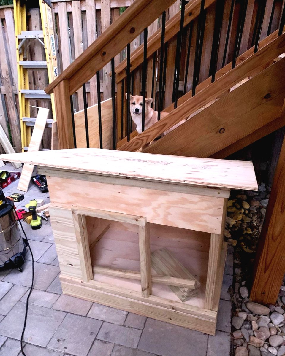 Необычные будки для собаки - фото 19