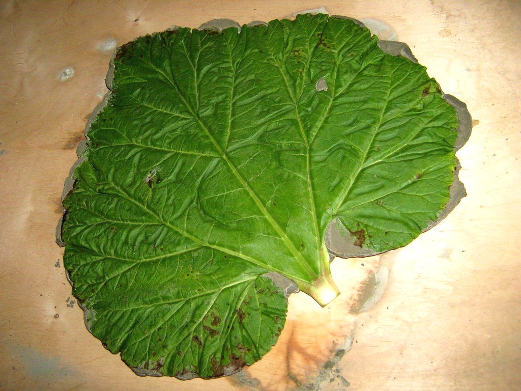 Декоративная дорожка для сада - фото 9