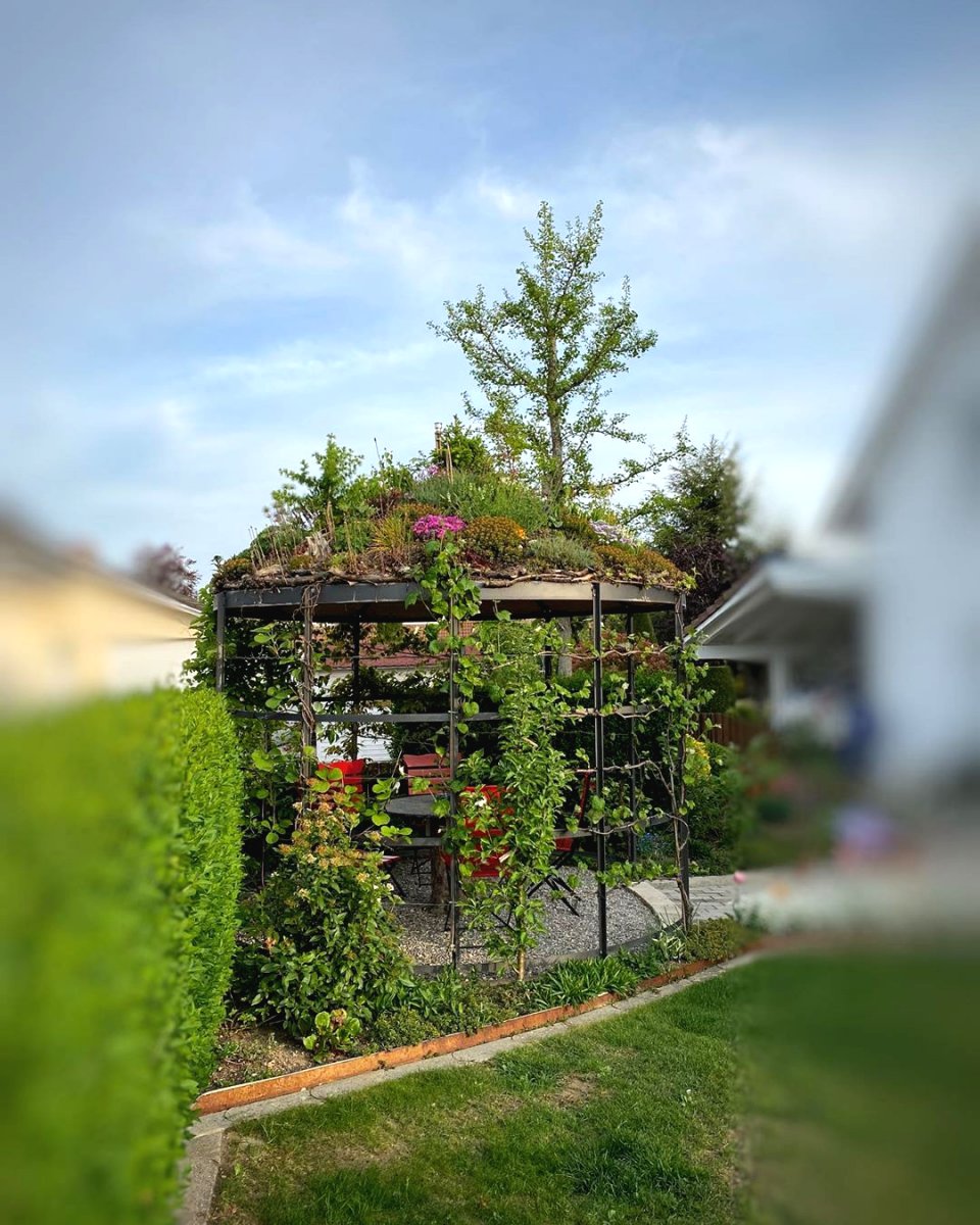 Оригинальная беседка с альпийской горкой на крыше - фото 3