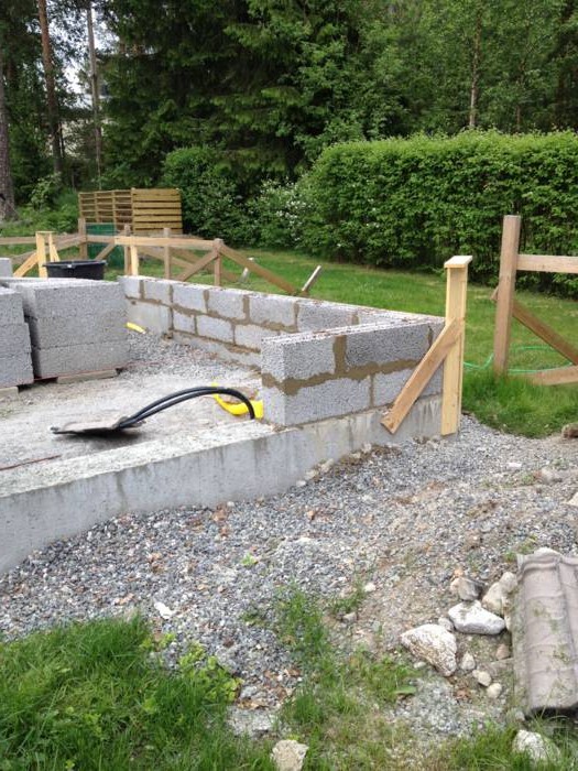 Оранжерея - фото 7