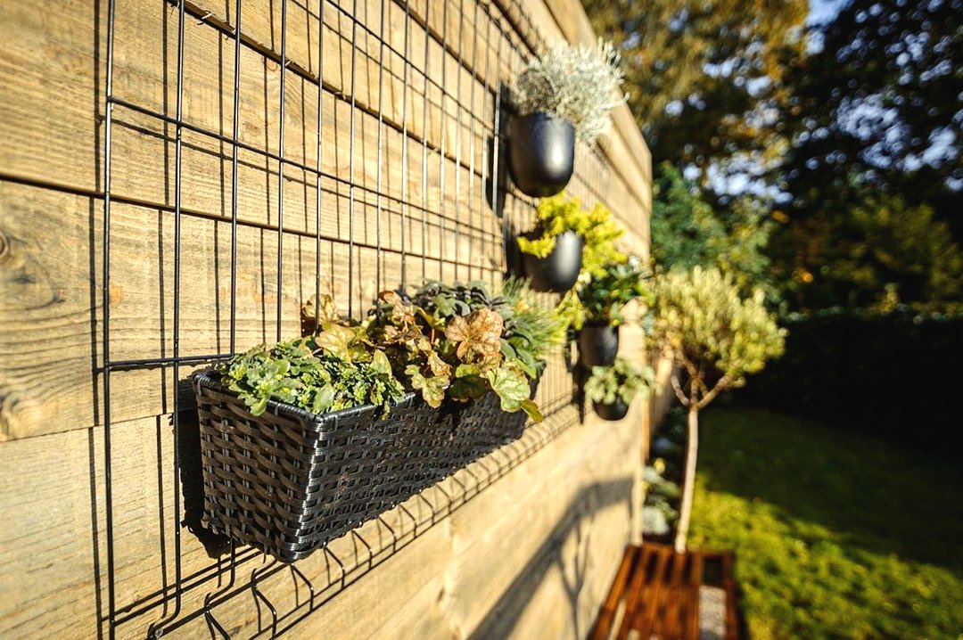 Оригинальные идеи для вертикального сада - фото 10