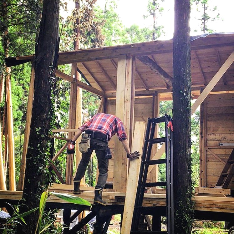 Хижина в лесу на деревянных столбах - фото 11