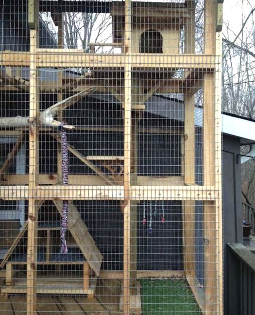 Дачный домик для кошки - фото 14