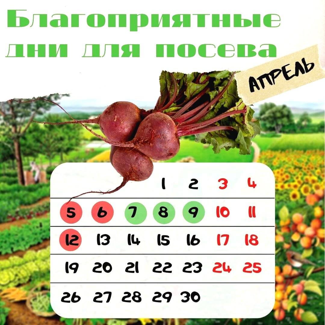 Лунный календарь на апрель - фото 5