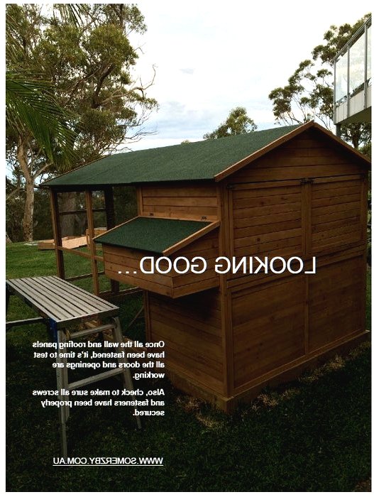 Курятник своими руками на 10 кур с выгулом - фото 11