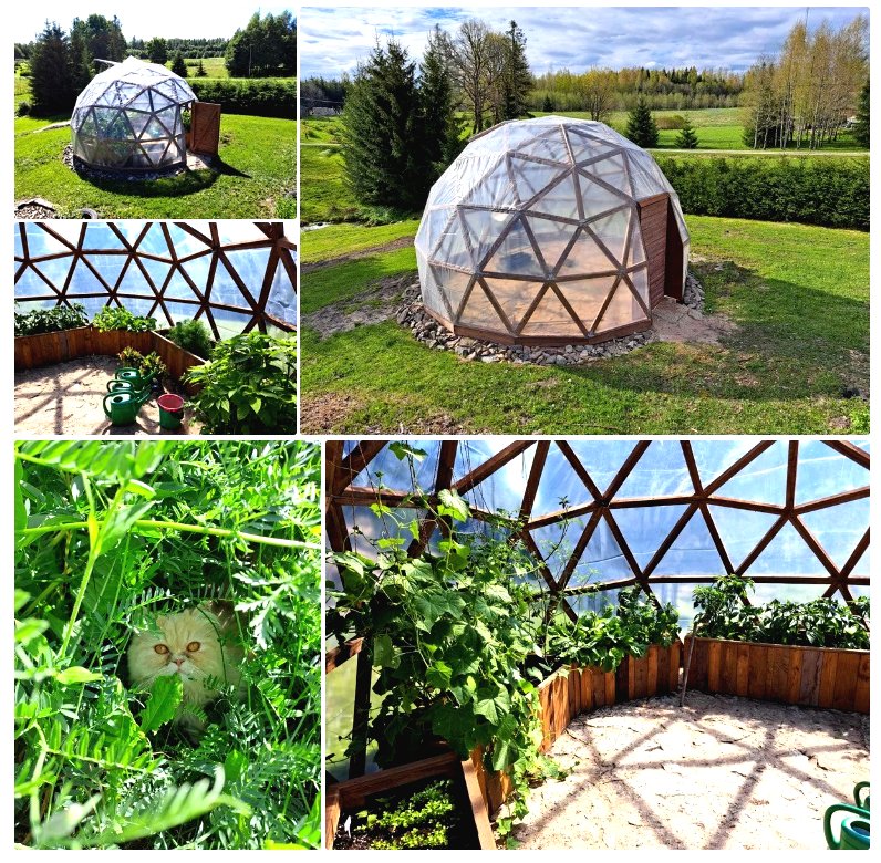 Круглая теплица: инновационное решение для Вашего сада! - фото 7