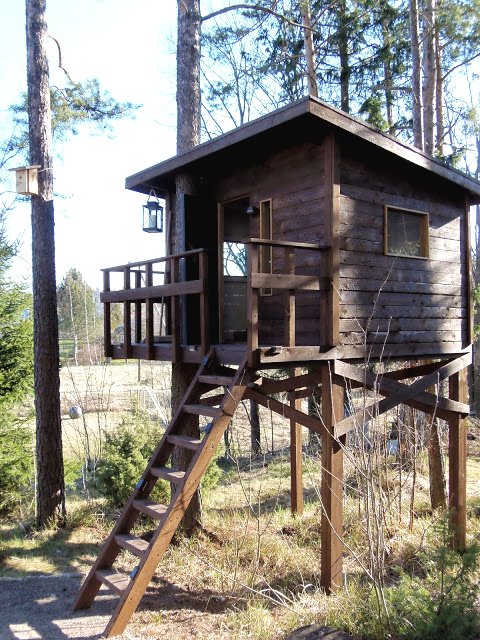 Детский деревянный домик на дереве - фото