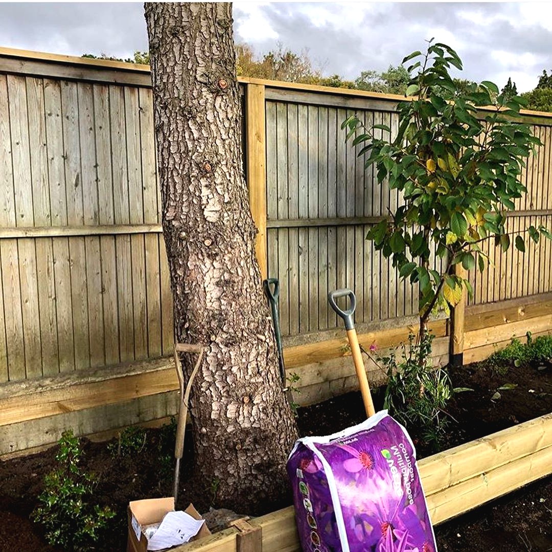 Необычное оформление огорода своими руками - фото 17