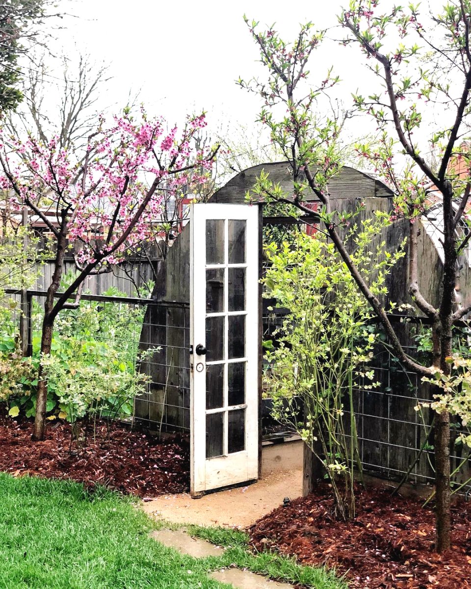 Огород на маленьком участке - фото 4