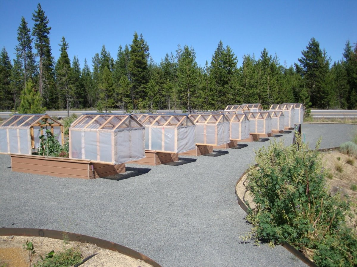 Мини-теплица - фото 4