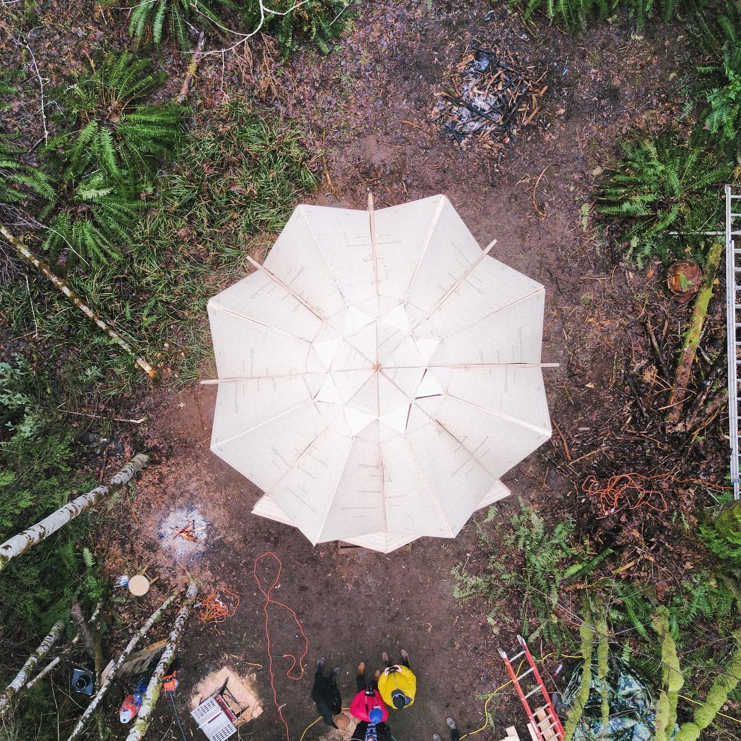 Дом с необычной крышей - фото 8