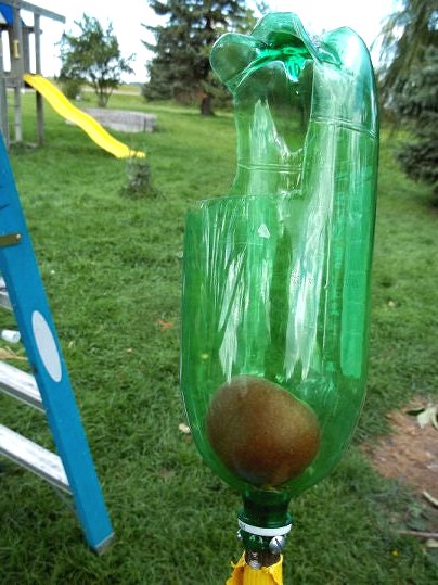 Сборщик яблок из пластиковой бутылки - фото 2