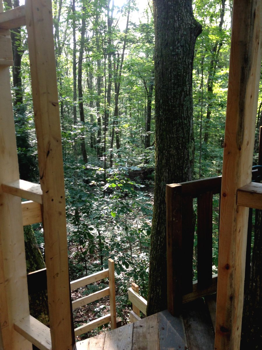 Многоуровневый домик на дереве для детей - фото 14