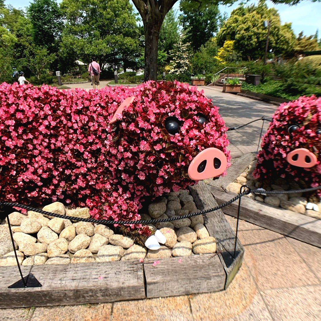 Оригинальные клумбы - фото 16