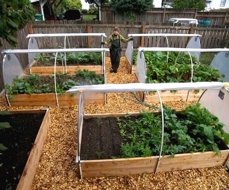 Парник для дачи своими руками - фото 4