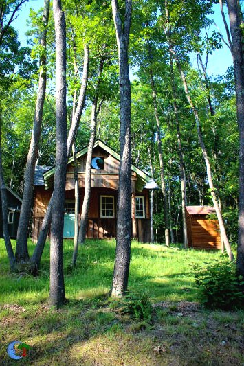 Домик из кедрового дерева - фото 2