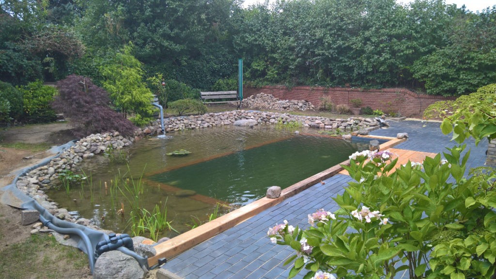 Бассейн + пруд - фото 16