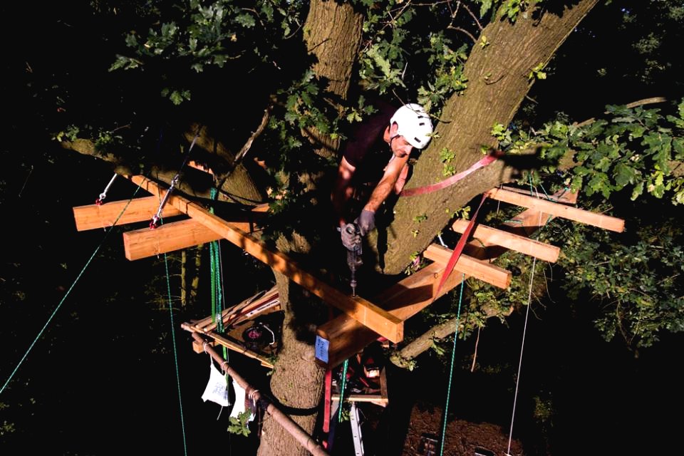 Оригинальный домик на дереве - фото 8