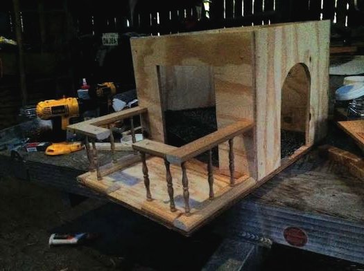 Дачный домик для кошки - фото 9