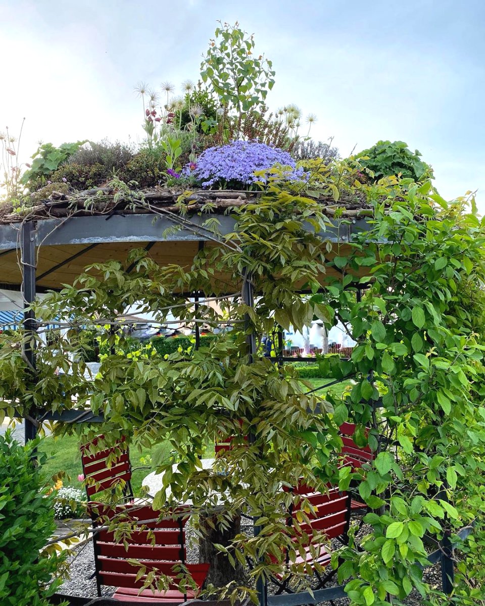 Оригинальная беседка с альпийской горкой на крыше - фото 4