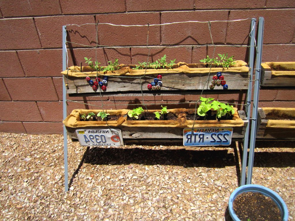 Вертикальный сад из поддона - фото 10