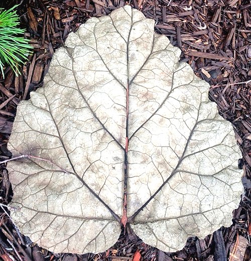 Улучшаем участок перед домом  - фото 11