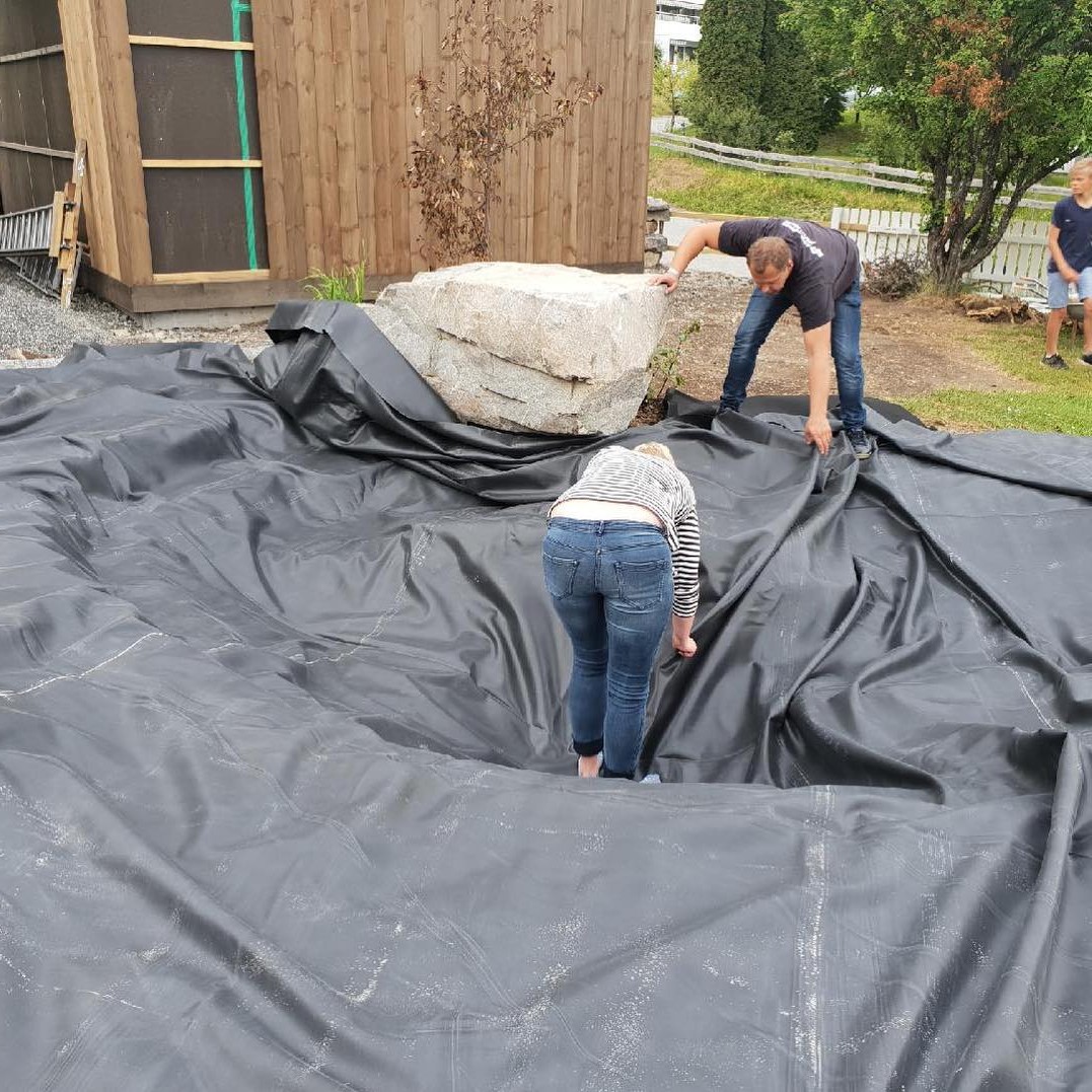 Пруд - фото 4