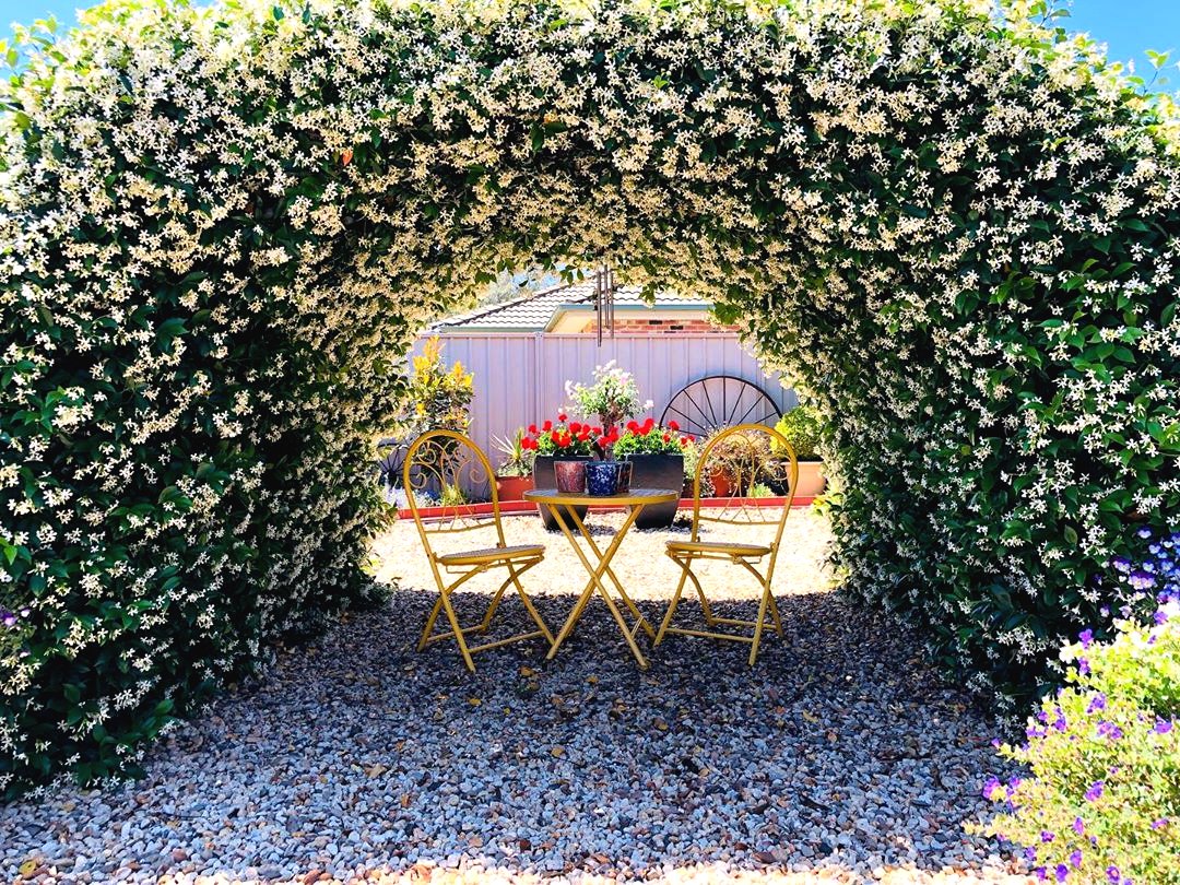 Беседка из вьющихся растений - фото 7