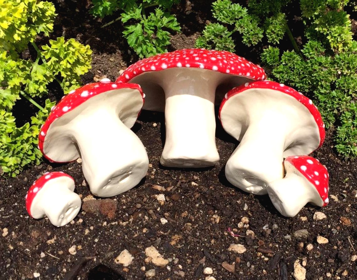 Грибочки на вашей даче - фото 5