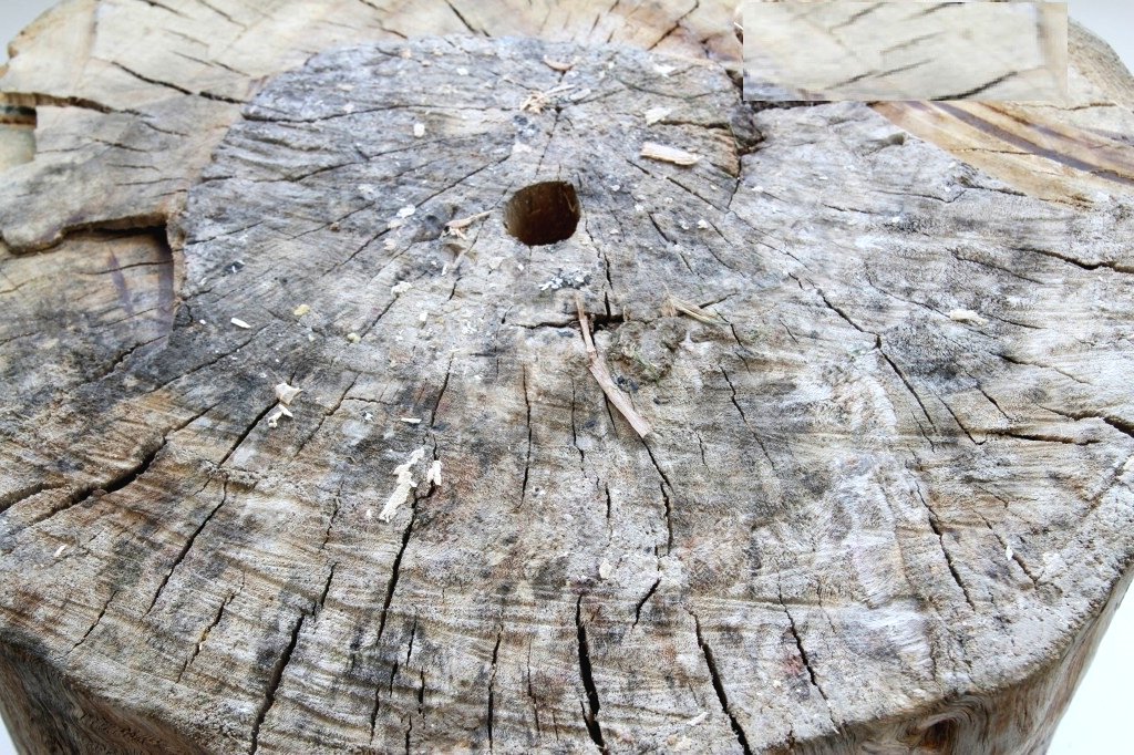 Цветочный горшок из пня - фото 9