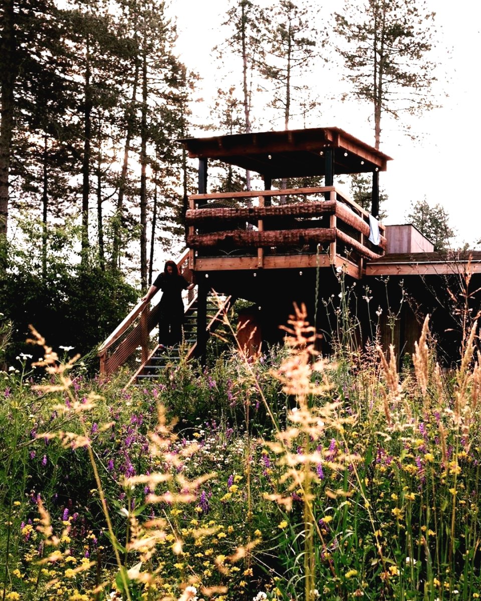 Очень необычная беседка из дерева - фото 3