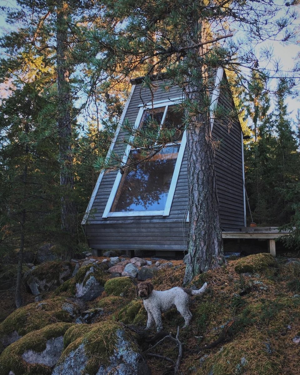 "Птичье гнездо" -  дом в лесу - фото 3